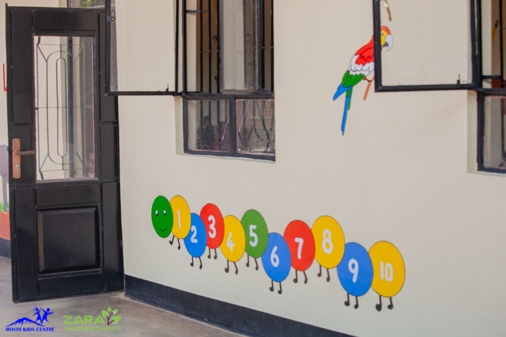 The Role of Volunteers in Tanzanian Education Systems