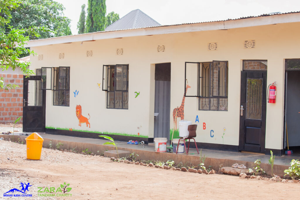 The Role of Volunteers in Tanzanian Education Systems