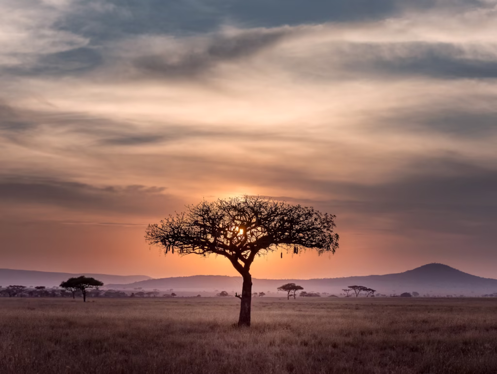 Explore the stunning Serengeti while volunteering in Tanzania.
