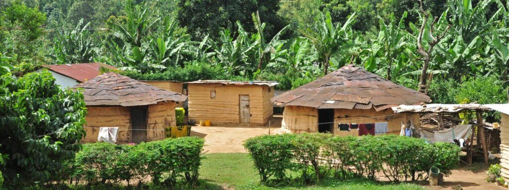 The Power of Non-Profit Volunteering in Tanzania | Opportunities & Impact