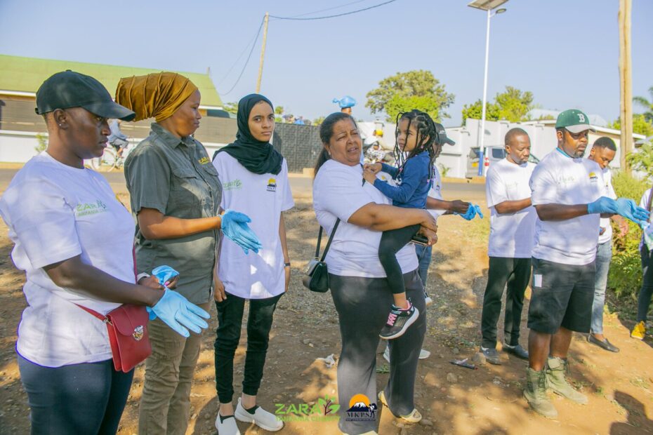 The Power of Non-Profit Volunteering in Tanzania | Opportunities & Impact