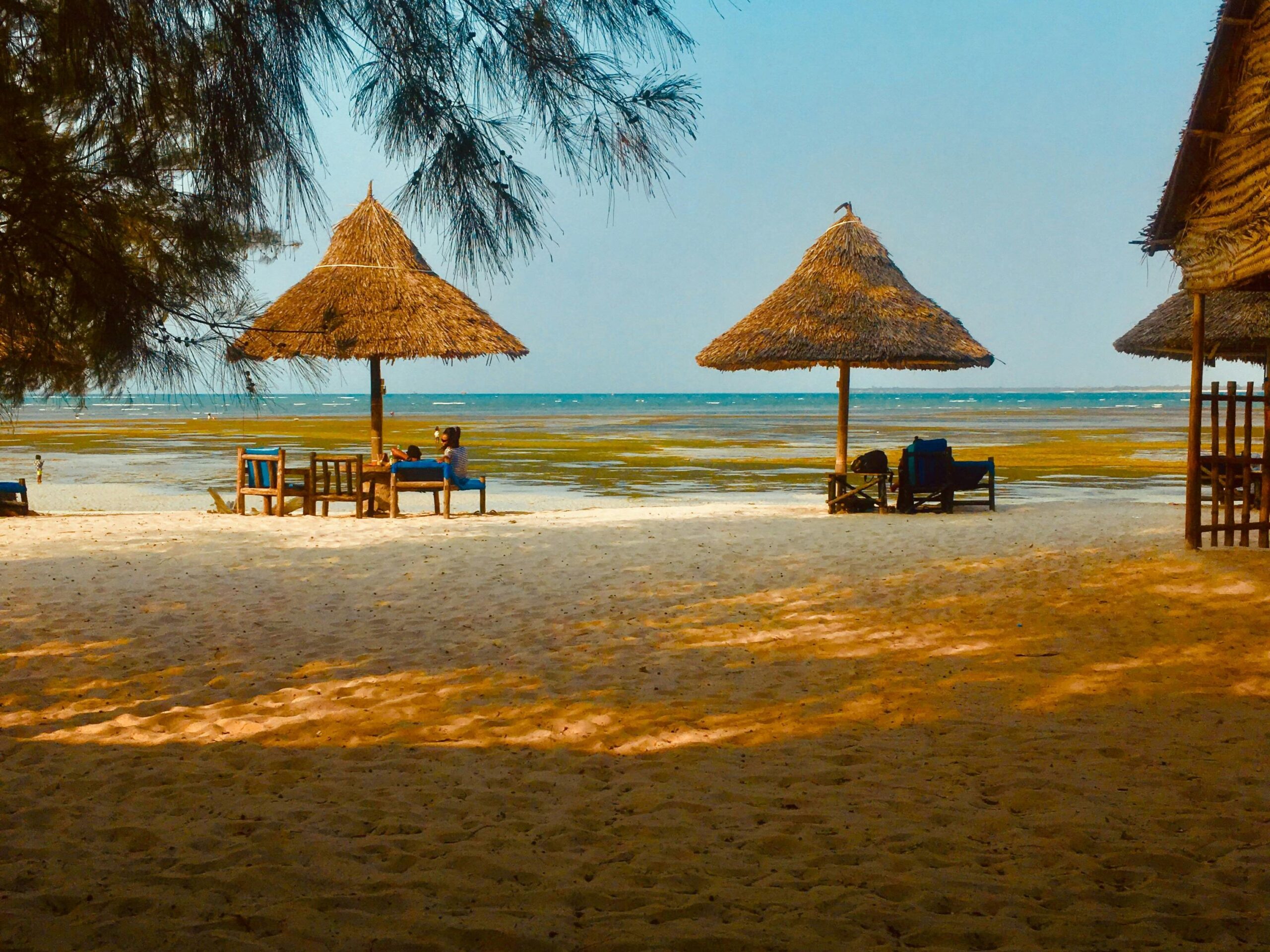 Why Volunteer in Tanzania in 2025