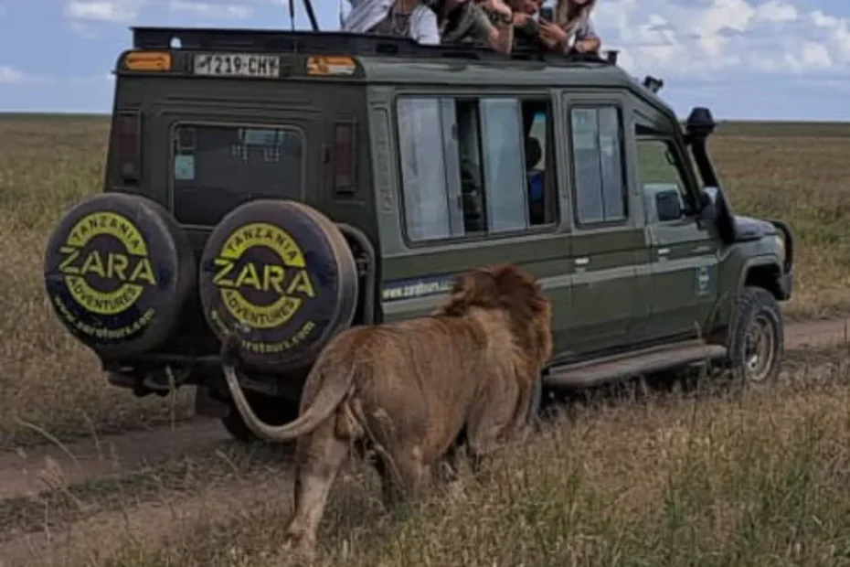 How Mama Zara Transformed Tourism and Charity in Tanzania