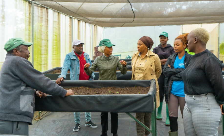 kijani pamoja project ,The Impact of Volunteering in Tanzania | Volunteers Tanzania