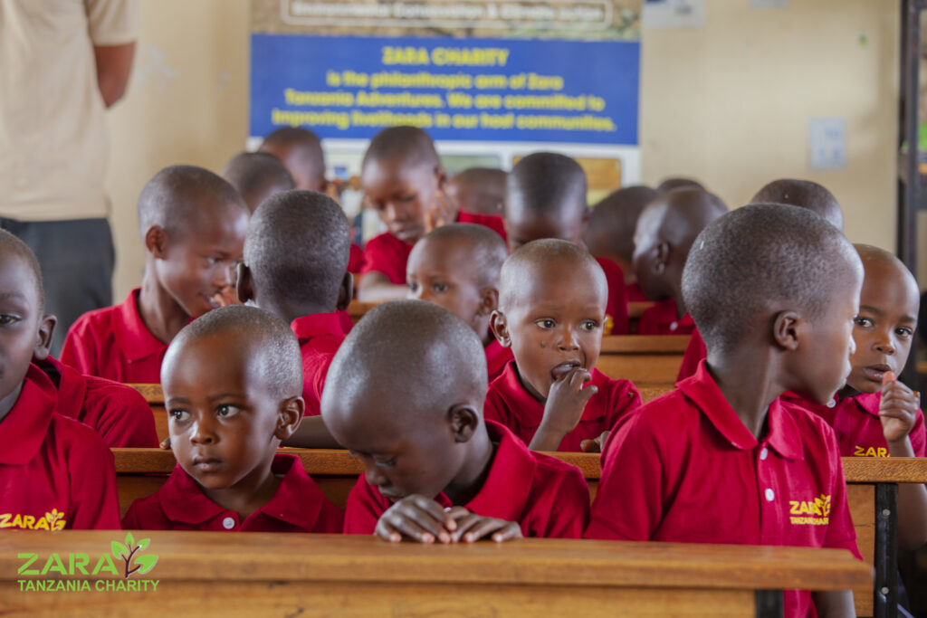 Skilled Volunteering Tanzania | Professional Impact | Moshi Kids