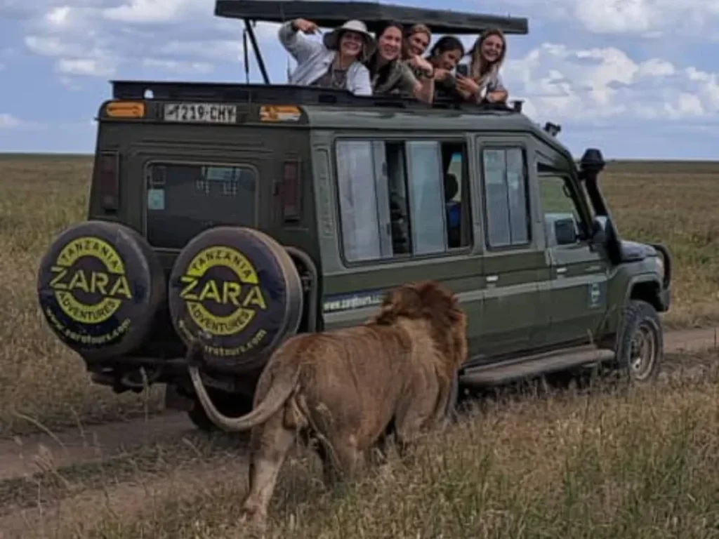 Cultural Immersion in Moshi: Beyond Volunteering