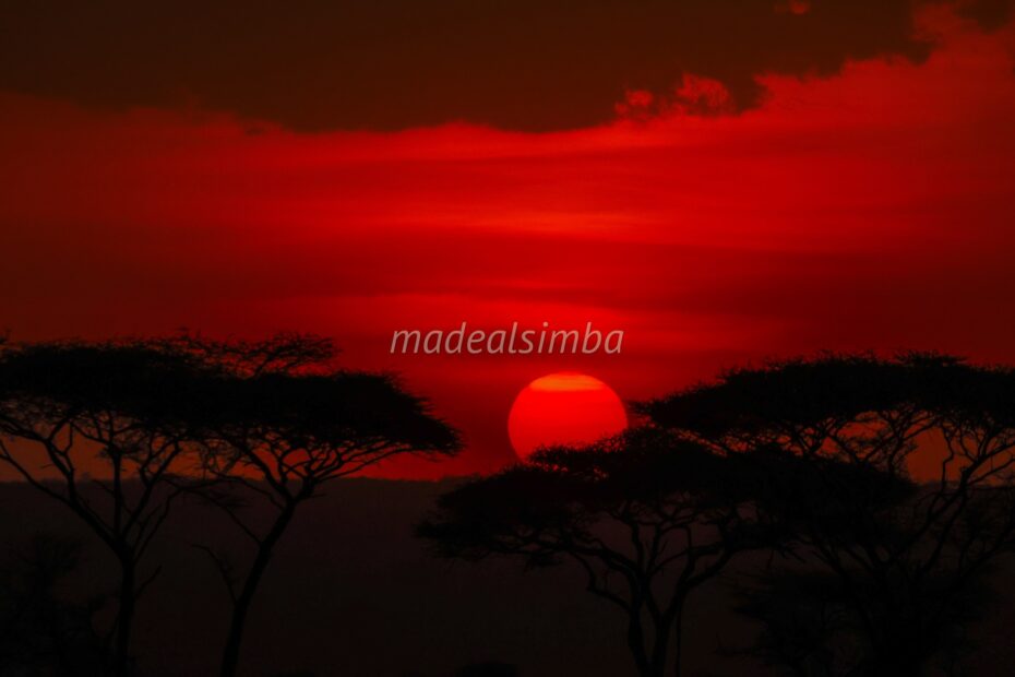 How to Spend Christmas Volunteering in Tanzania: A Life-Changing Holiday Experience (2025-2026)