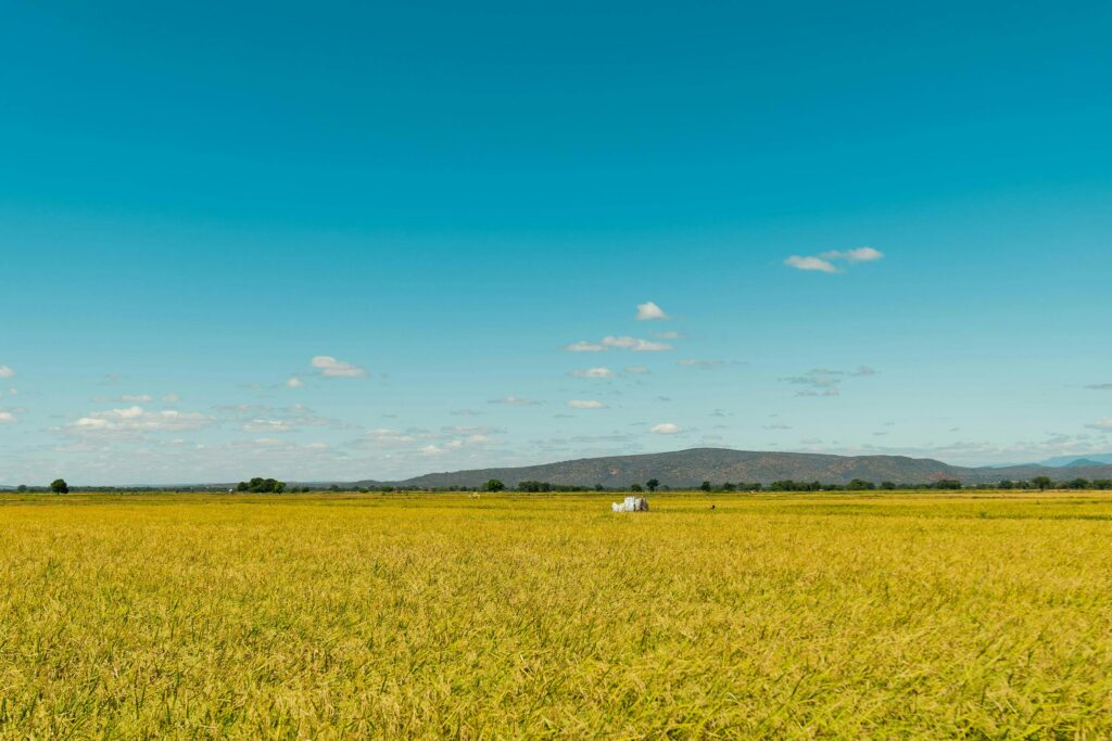 Explore hidden volunteer destinations in Tanzania beyond Kilimanjaro. Support education, healthcare, women empowerment, and community-led development.