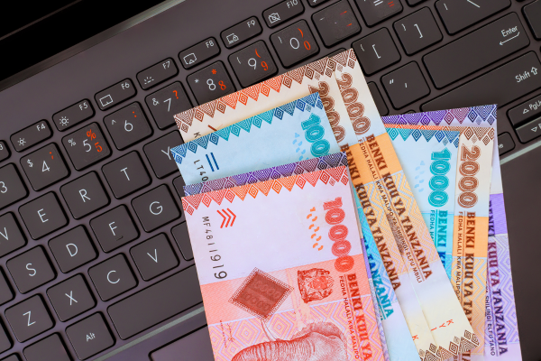 Cost of Volunteering in Tanzania