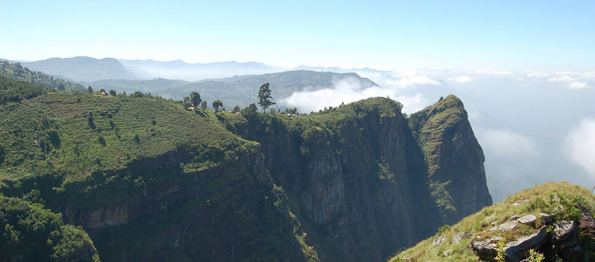 Lush green mountains with mist, a view typical of the Usambara region in Tanzania.