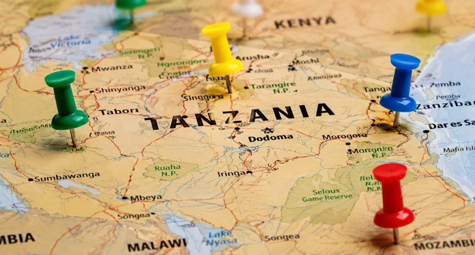 Complete Gap Year Guide Planning, Programs, Budget & Travel in Tanzania (2026)